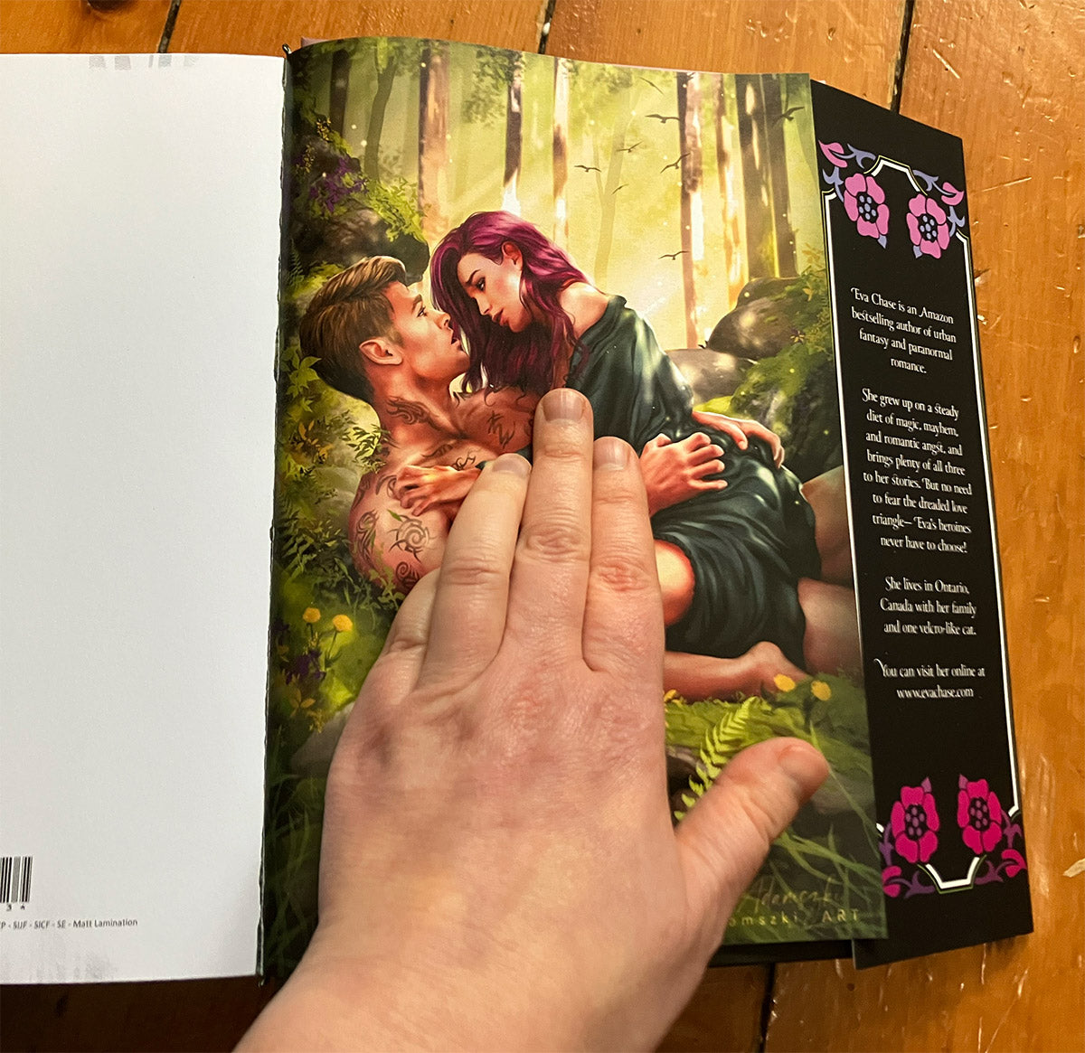 Bound to the Fae Special Editions Bundle - save $20!