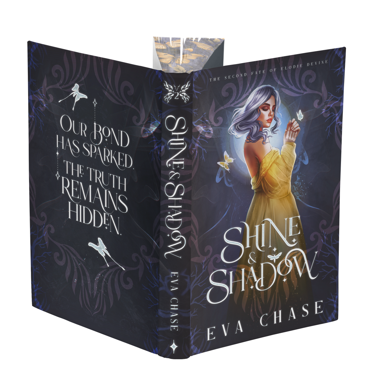 Shine & Shadow - Special Edition Hardcover